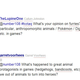 Image for article titled Tim Rogers Wrestles With Your Questions of Mario, Movies and Crunchy Games